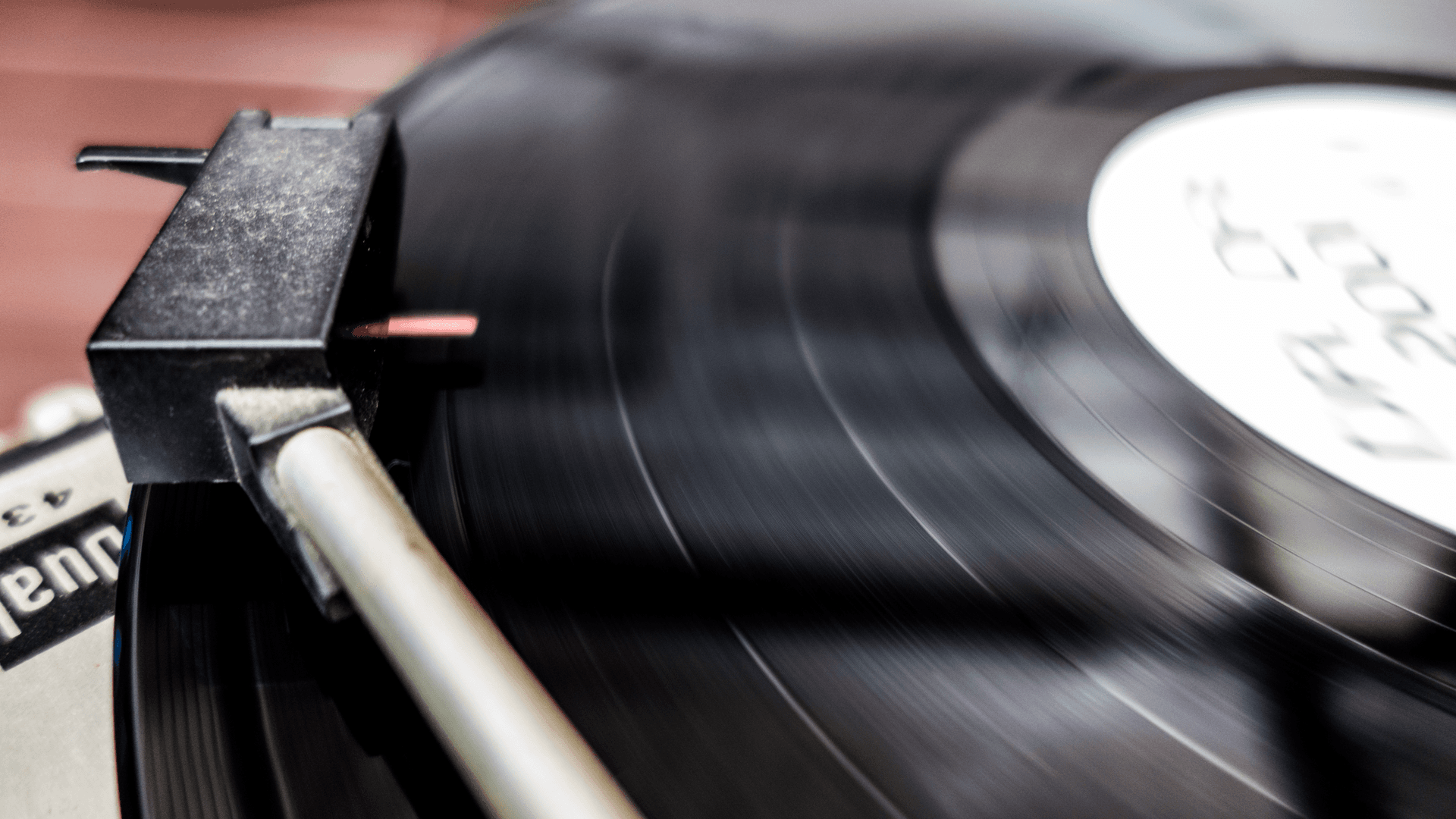 Music Taste and Intelligence: Do Smart People Like Different Music?