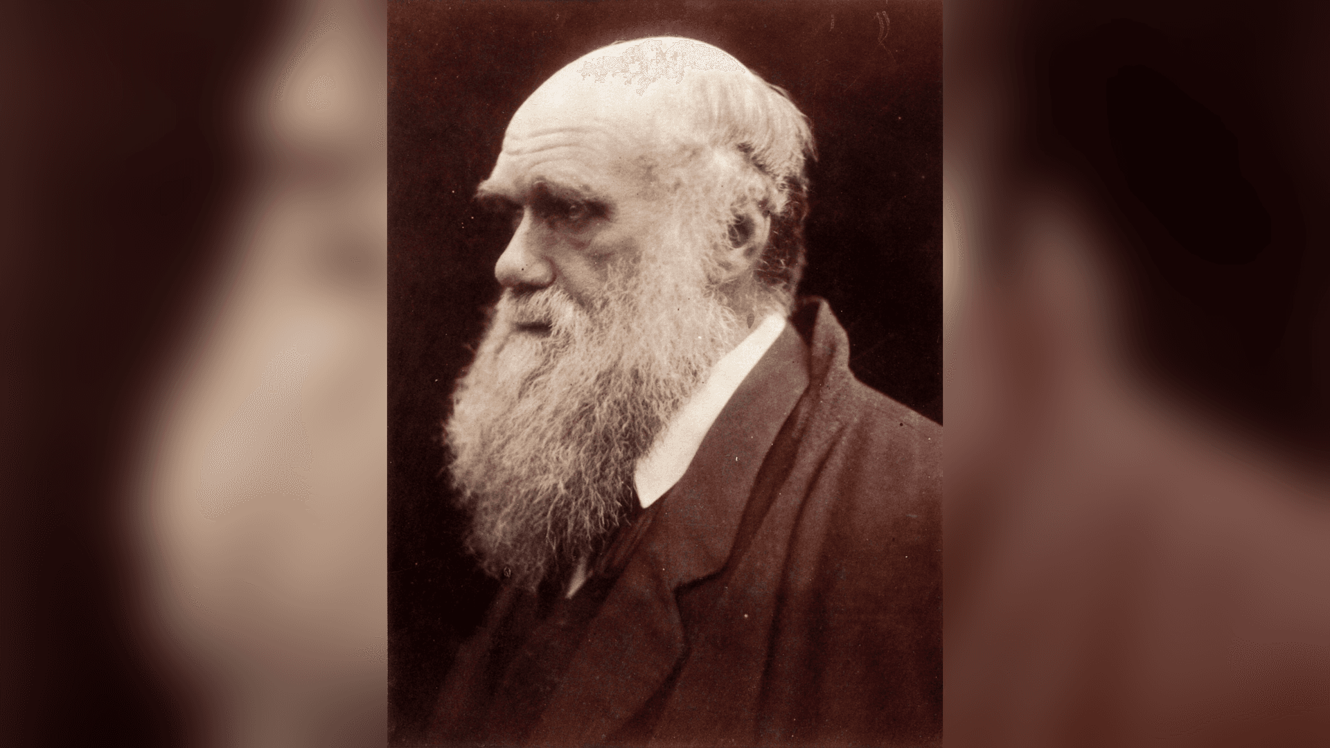 What Was Charles Darwin's IQ? The Estimate, the Record, and Galton