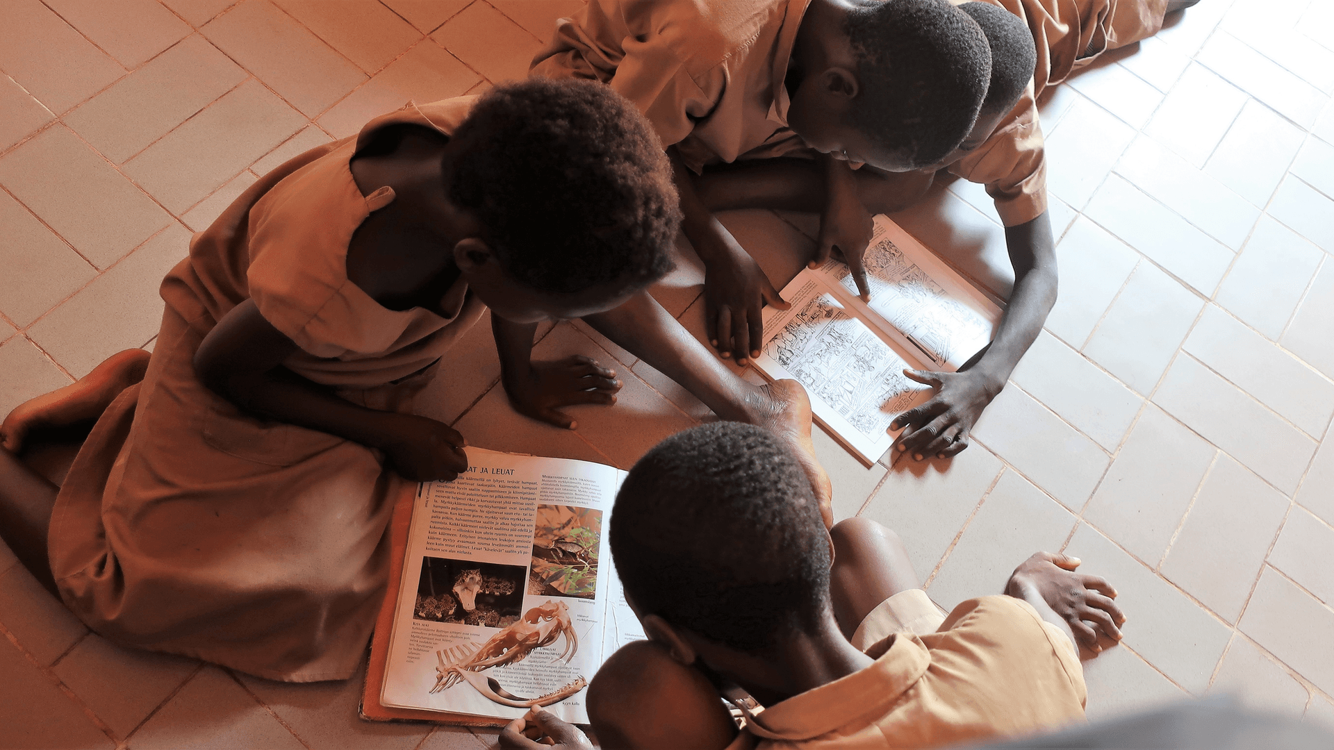 What is Acadience Reading K-6? The early literacy screener formerly known as DIBELS Next