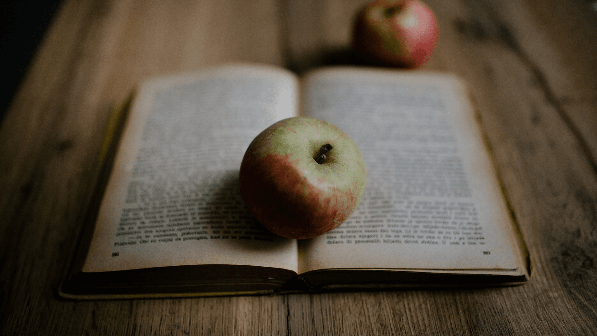 Does Reading Increase IQ? What the Research on Books Shows
