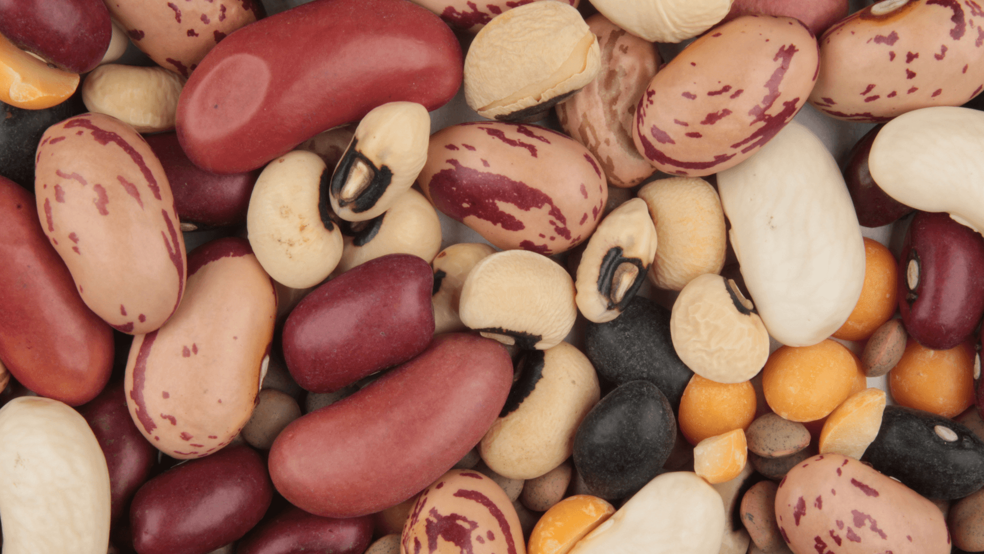 Does Protein Make You Smarter? What the Research Shows for IQ