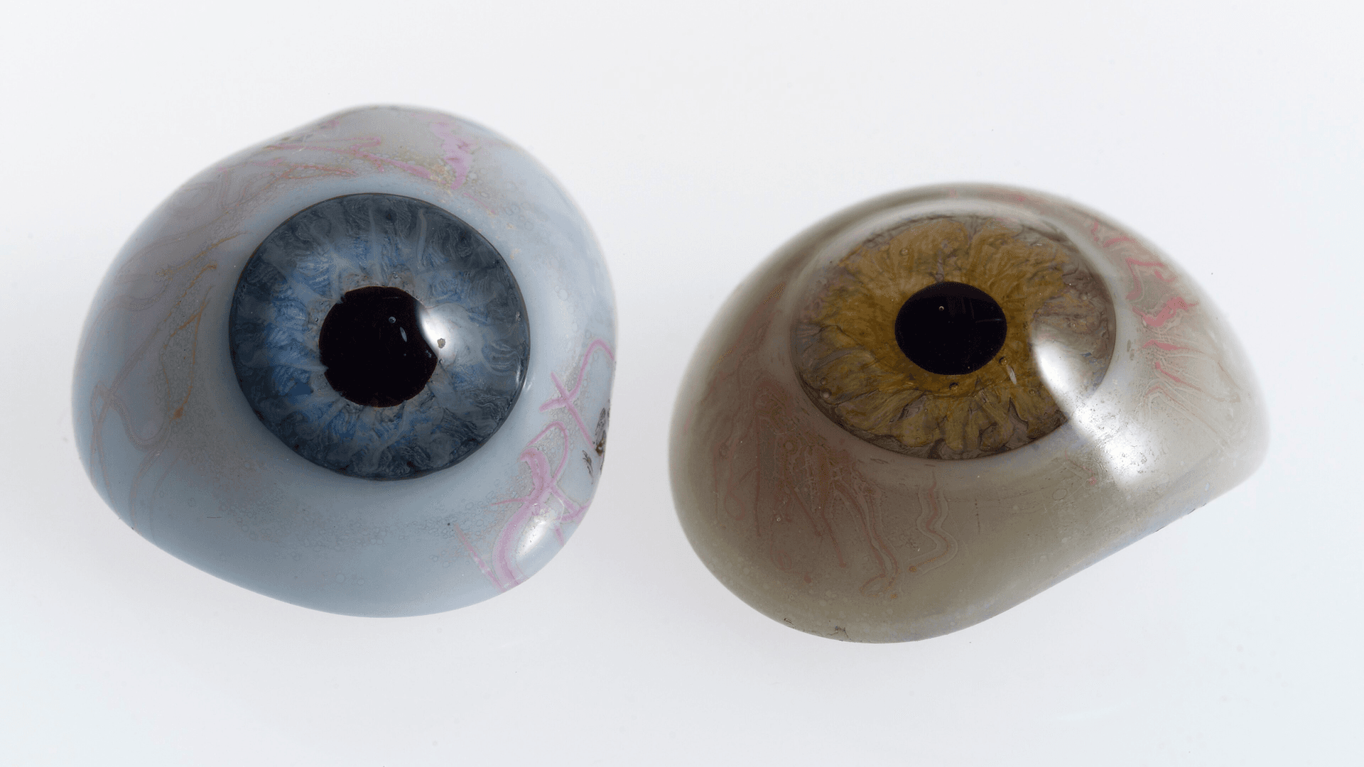 Eye Color and IQ: Is There Any Link?