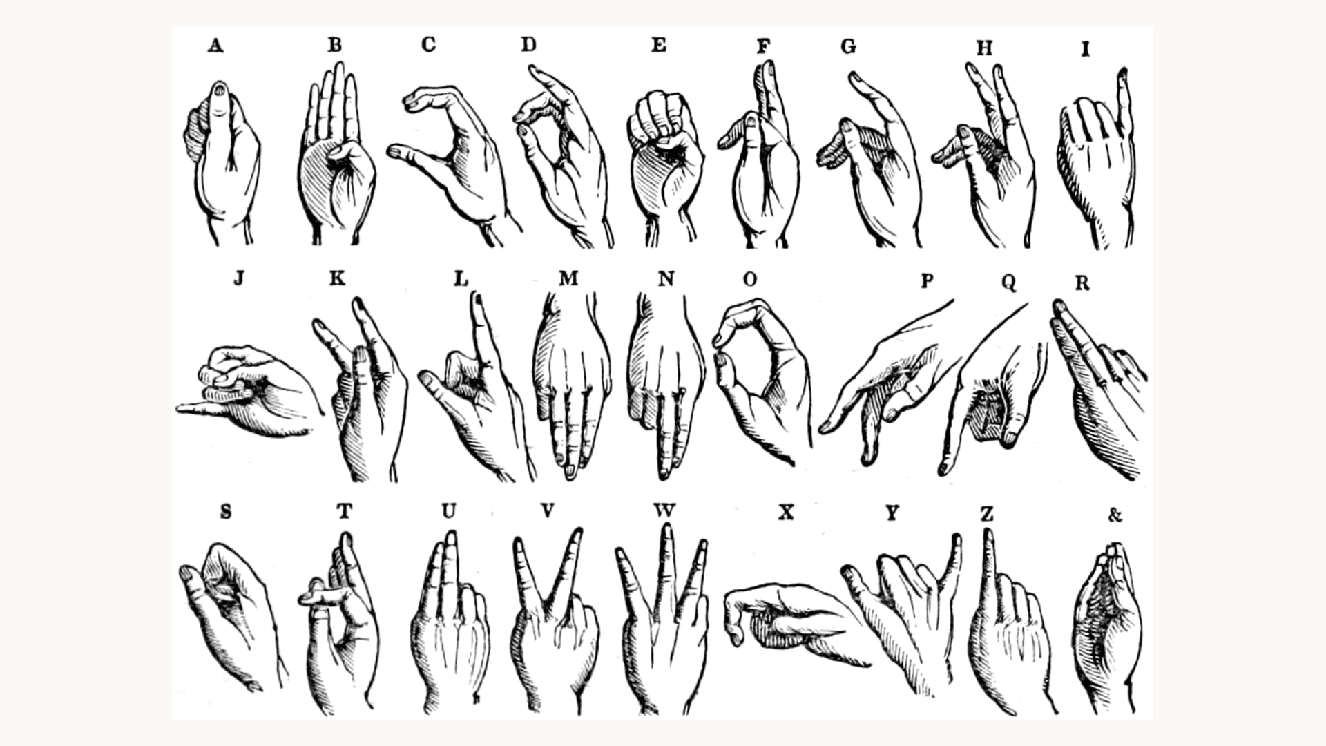 Does Learning Sign Language Make You Smarter? What the Research Shows