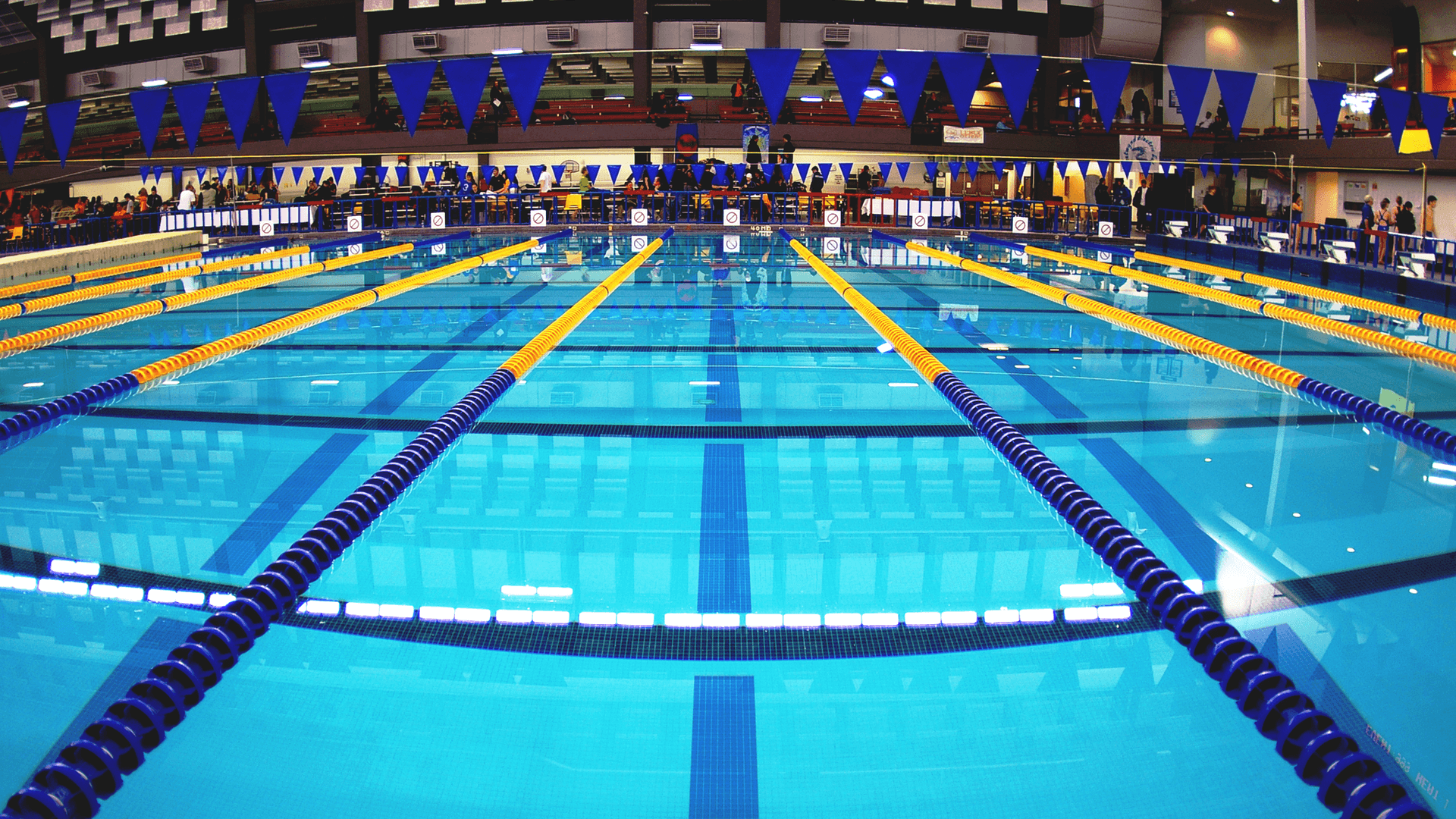 Does Swimming Make You Smarter? What the Research Shows