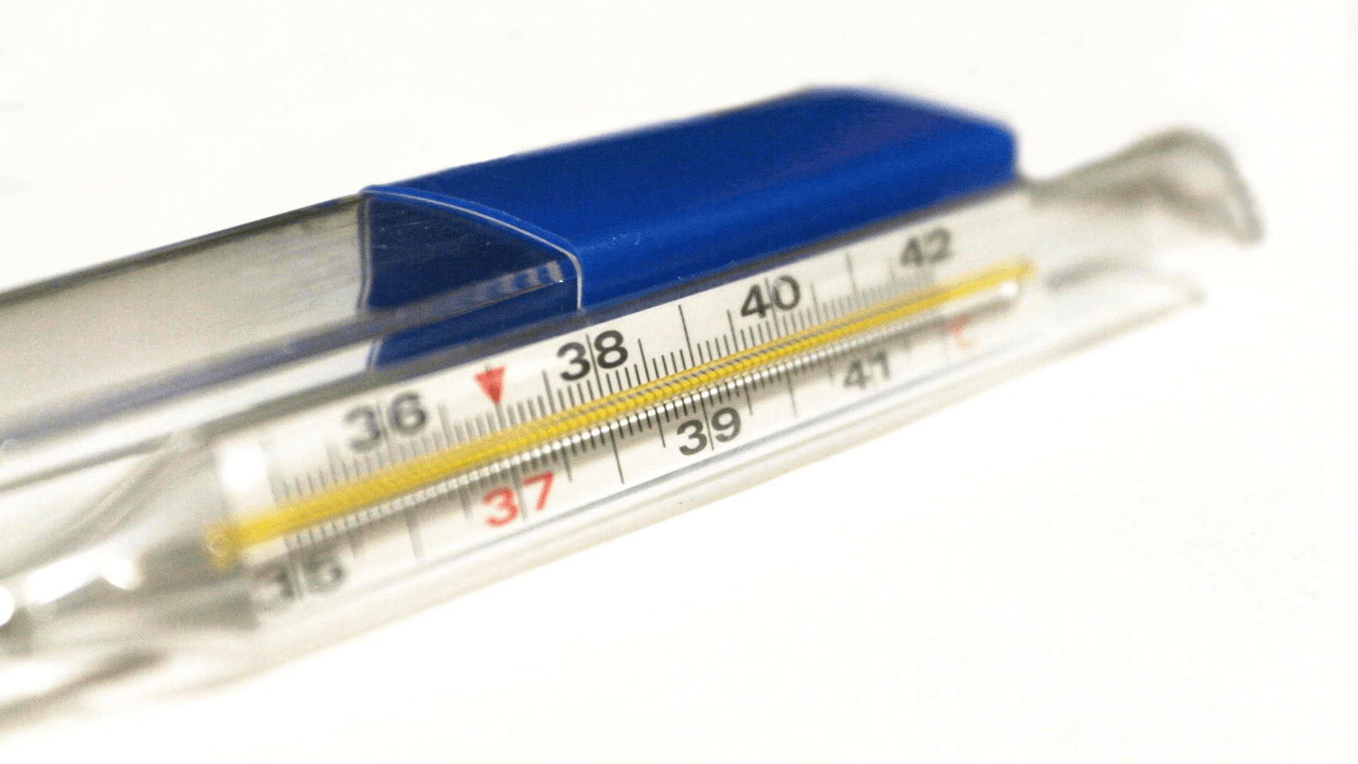 Mercury and IQ: How Much Does Mercury Exposure Lower Intelligence?