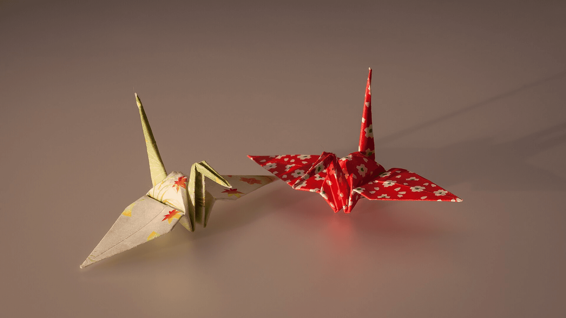Does Origami Make You Smarter? What the Research Shows for IQ