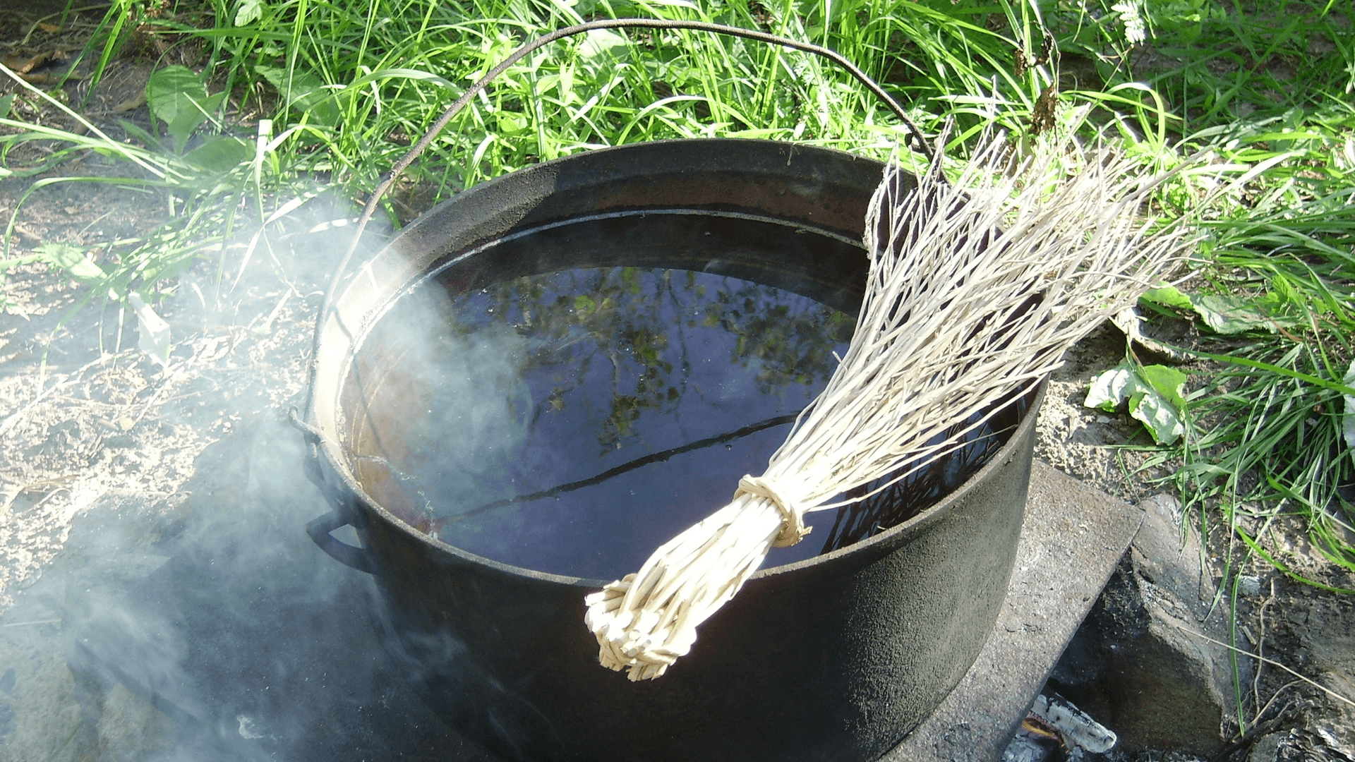 Does Cooking Make You Smarter? Evolution, the Brain and the Kitchen