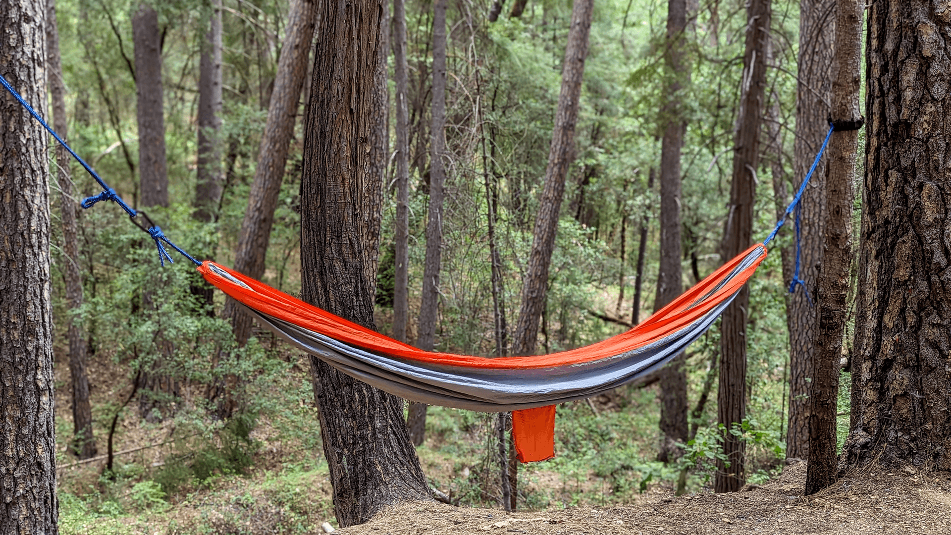 Laziness and Intelligence: Are Smart People Lazy?