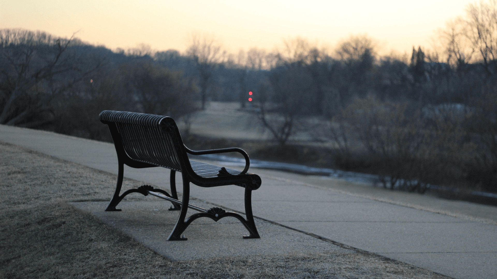 Loneliness and Intelligence: Are Smart People Lonelier?
