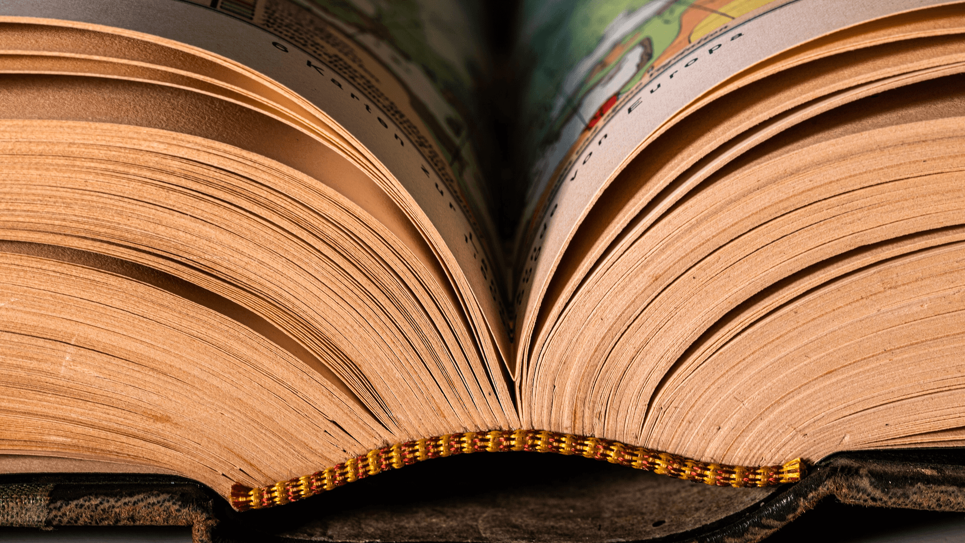 What is The WORD Test 3? Expressive vocabulary and semantics, explained