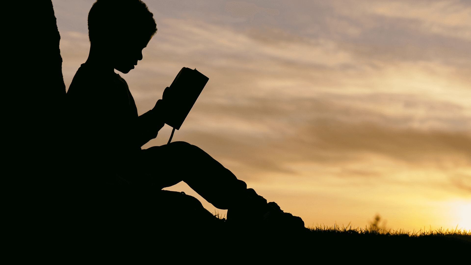What is the TOSWRF-2? The Test of Silent Word Reading Fluency explained