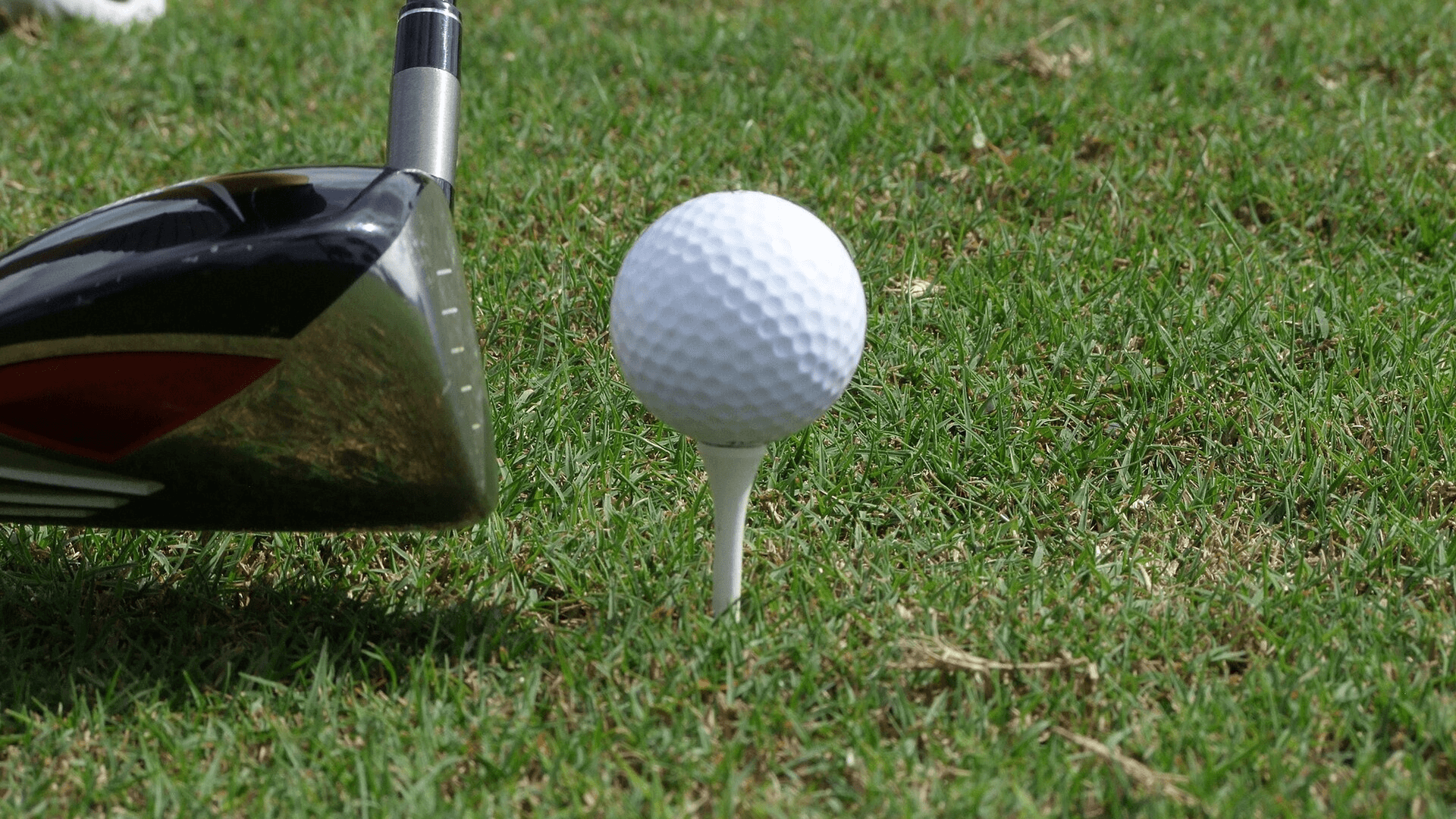 Does Golf Make You Smarter? What the Research Shows for IQ