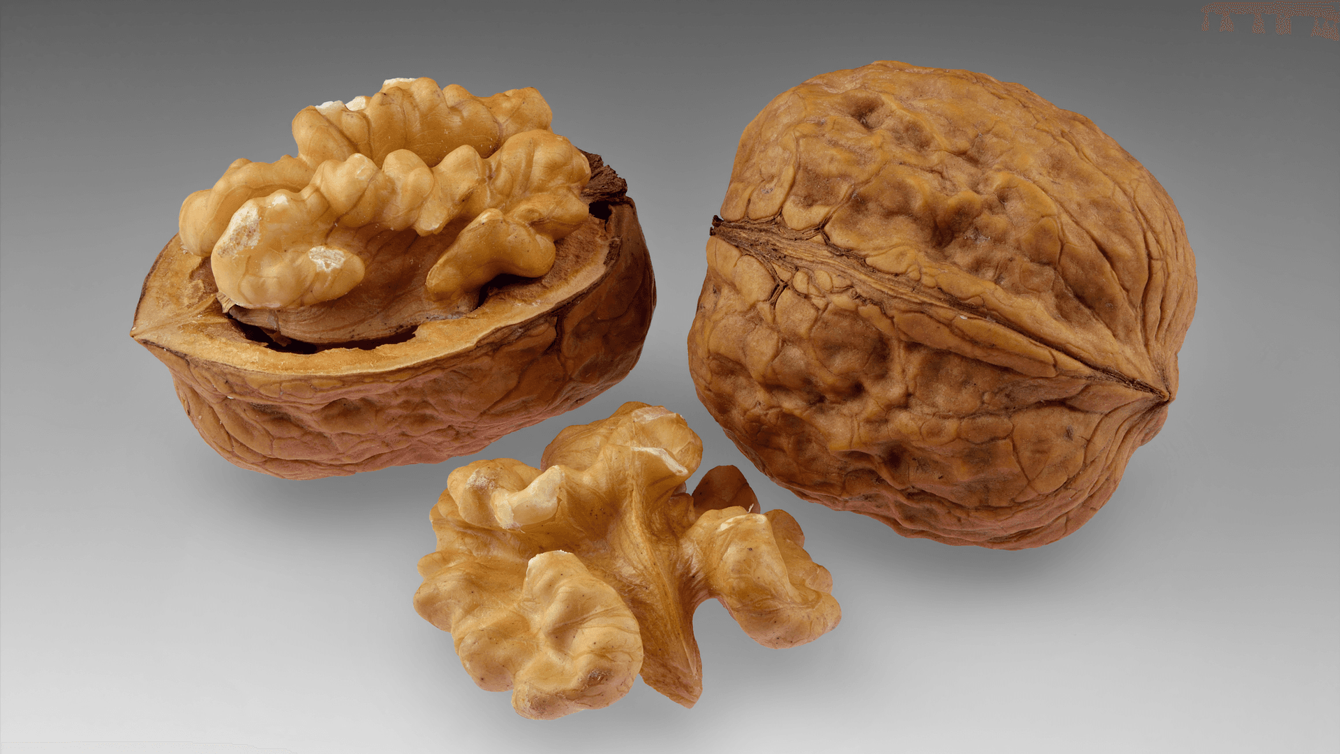 Do Nuts Make You Smarter? What the Research Shows for IQ