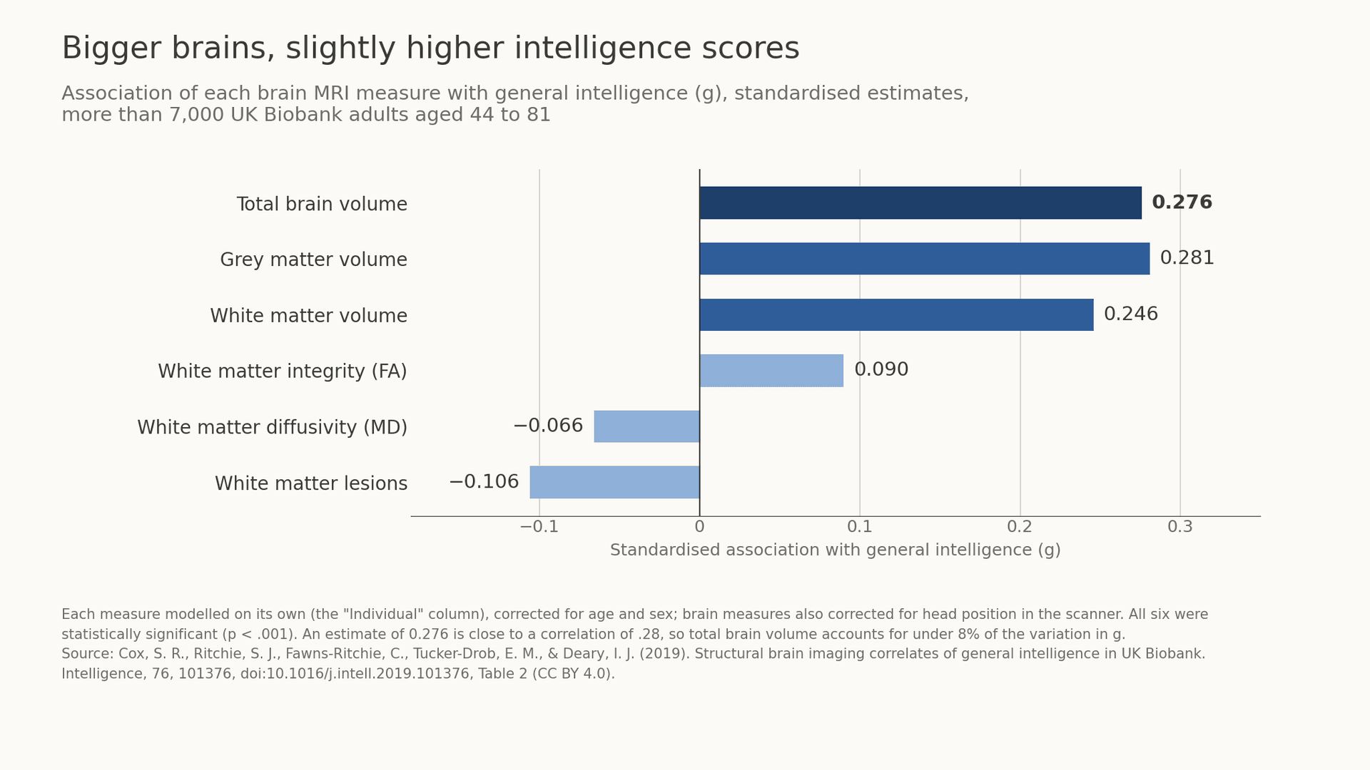 Brain Size and IQ: Do Bigger Brains Mean Higher Intelligence?