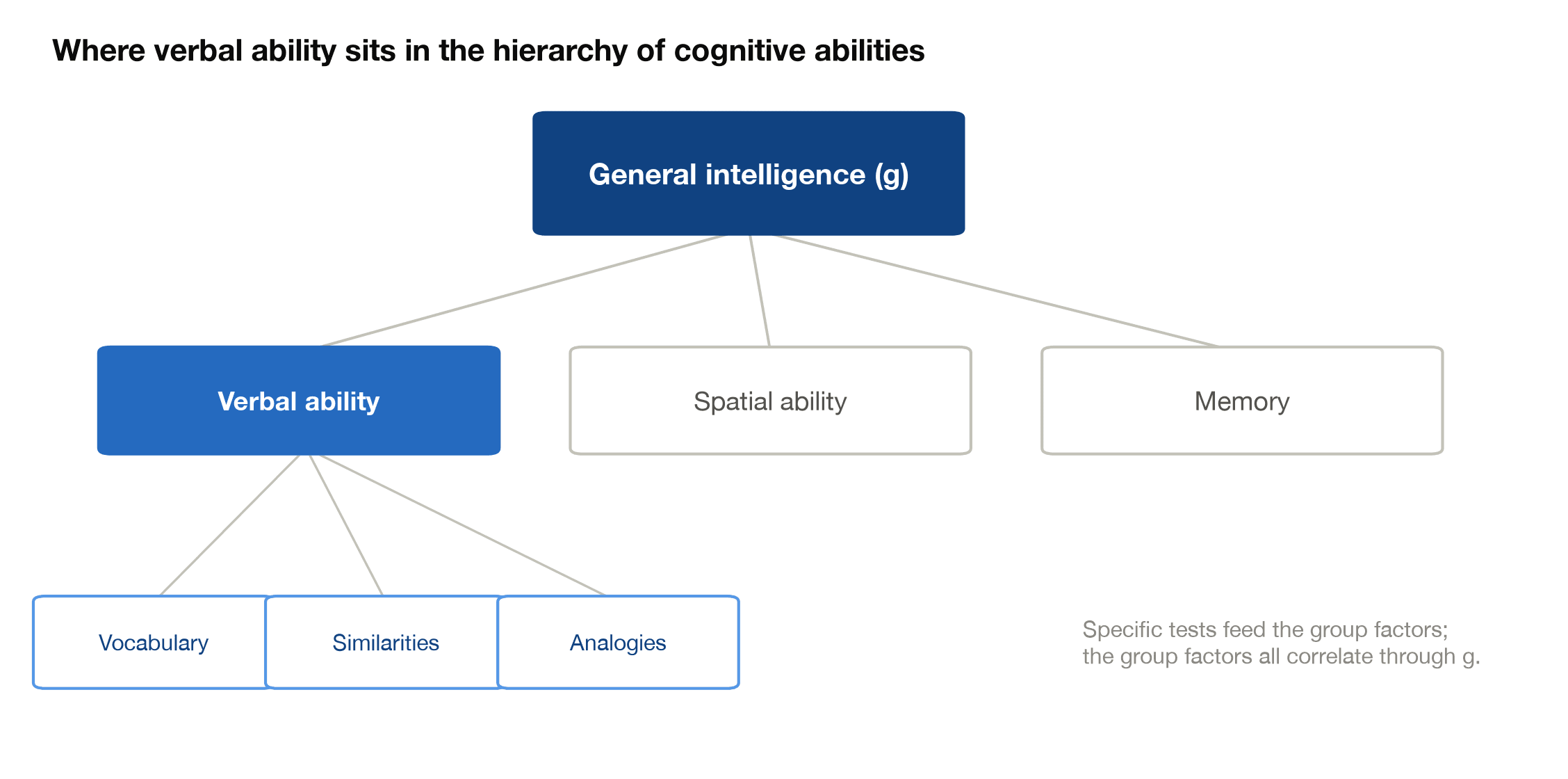Hierarchical model of cognitive abilities with general intelligence at the top, verbal ability highlighted among the group factors, and verbal subtests below