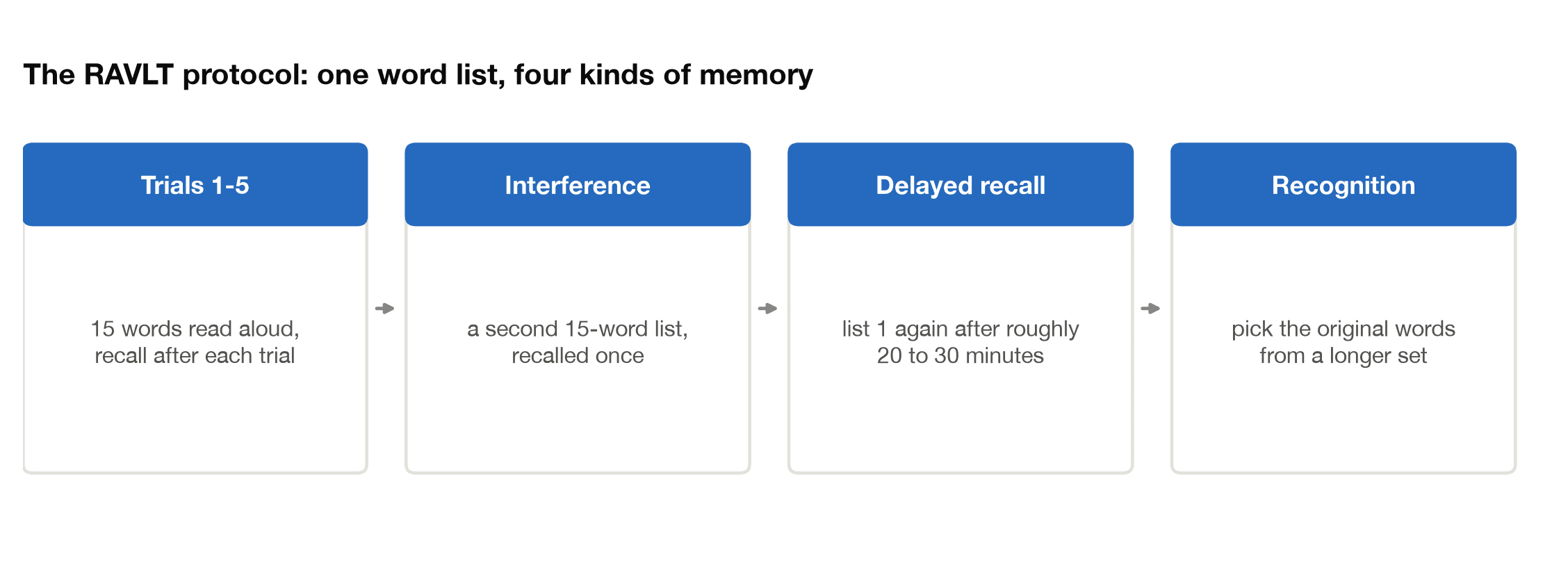 The RAVLT protocol: five learning trials, an interference list, delayed recall, and recognition