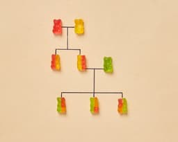 Are Genes Important for Determining Intelligence?