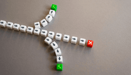 Cognitive Development