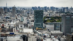 What Is the Average IQ in Japan?