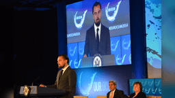 What Is Leonardo DiCaprio's IQ?