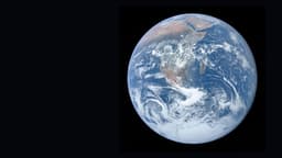 What Is the Average IQ in the World?
