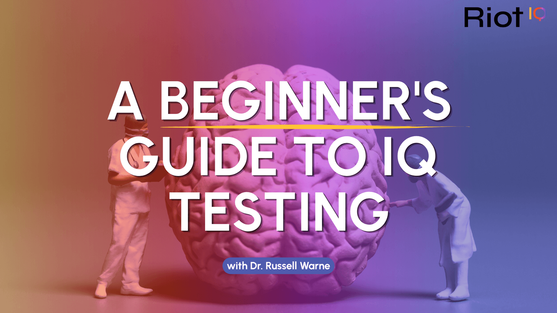 A Beginner's Guide to IQ Testing