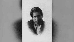 What Was Srinivasa Ramanujan's IQ?