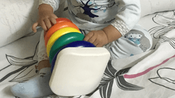 What are the Mullen Scales of Early Learning?