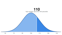 What Does an IQ of 110 Mean?