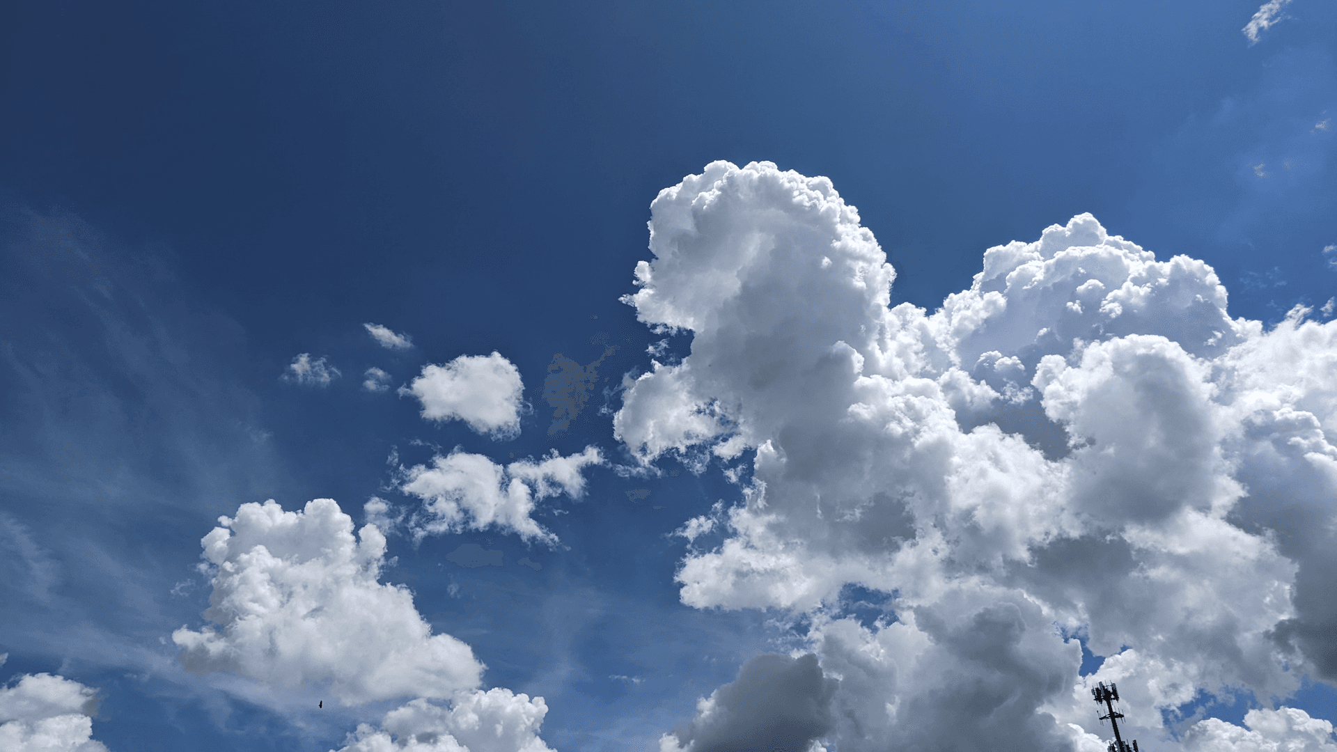 Daydreaming and IQ: Is Daydreaming a Sign of Intelligence?