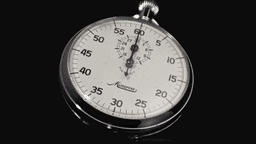 What is the Slosson Intelligence Test?
