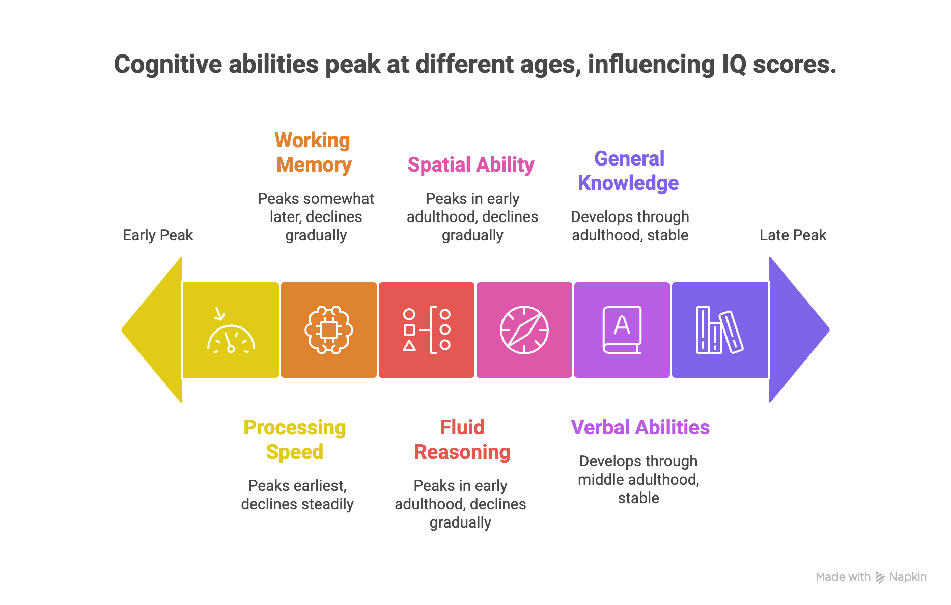 Average Intelligence What Is the Average IQ by Age? | Riot IQ